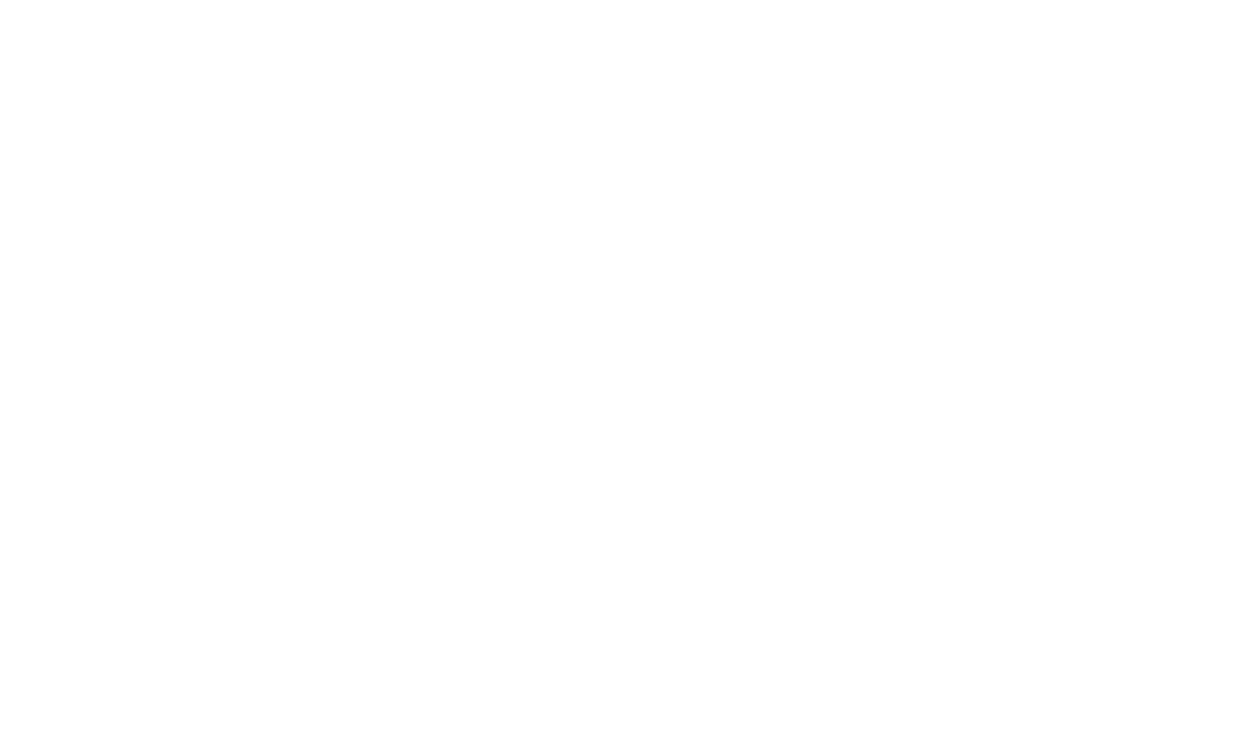 Troy Resources
